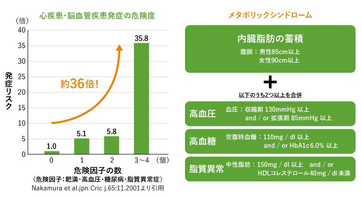 心疾患・脳血管疾患発症の危険度